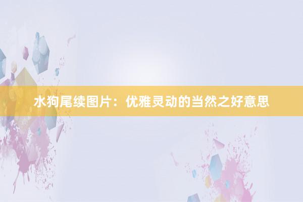 水狗尾续图片：优雅灵动的当然之好意思