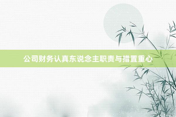 公司财务认真东说念主职责与措置重心